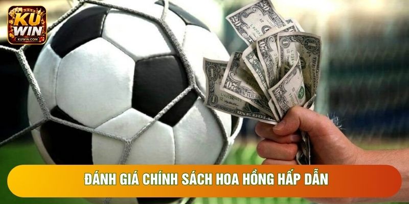Đánh giá chính sách hoa hồng hấp dẫn